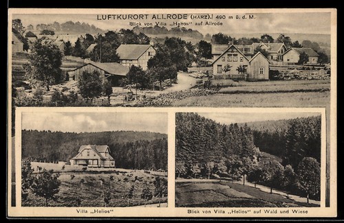 Allrode harz villa - allrode,