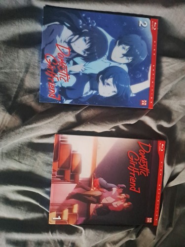 Domestic girlfriend - domestic,