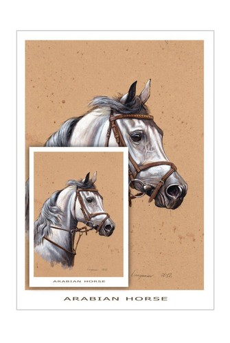 Arabisches pferd kunstdruck - arabisches,