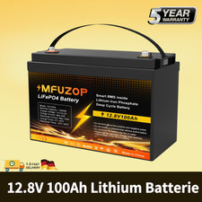 100AH 12V Lithium Batterie