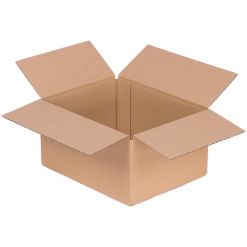 Versandkarton 217 172 110 - x,