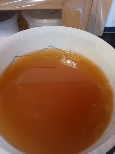 Eimer blütenhonig aus - kg,