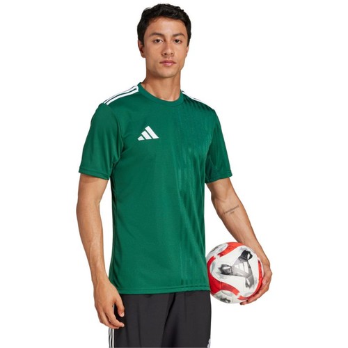 Herren shirt adidas campeon - adidas,