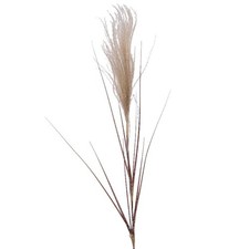 Weihnachtsdeko Pampasgras Natur beschneit 88 cm - Kunstblumen