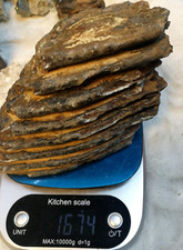 Mammut zahn Fossil 17x12x8cm