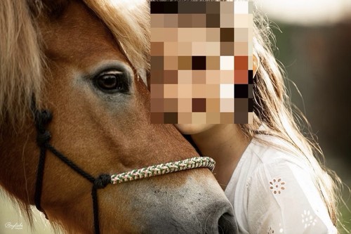 Knotenhalfter nach - knotenhalfter,