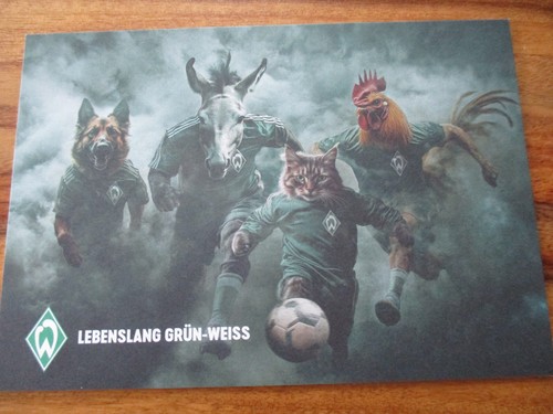 Werder bremen postkarte - werder,