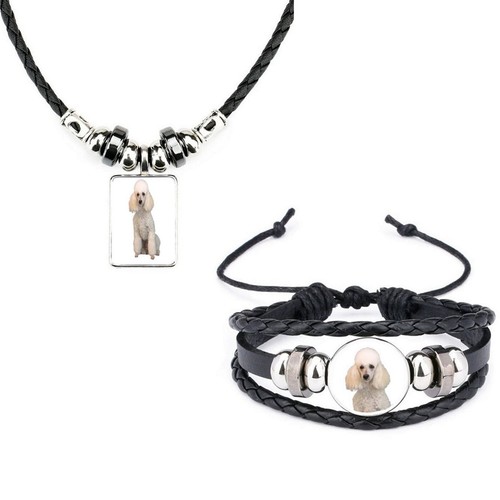 2er set pudel hund schwarzes - set,