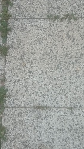 Betonplatten verschenken - betonplatten,