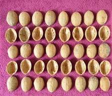 40 Walnussschalen Hälften BIO Dekoration Basteln Floristik Nussschalen Halbe