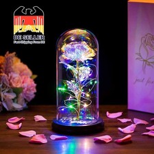 LED Ewige Rose im Glas für