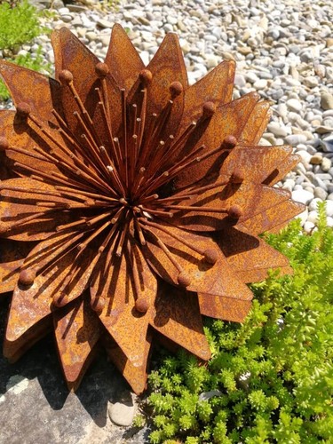 Edelrost blume sunny - edelrost,