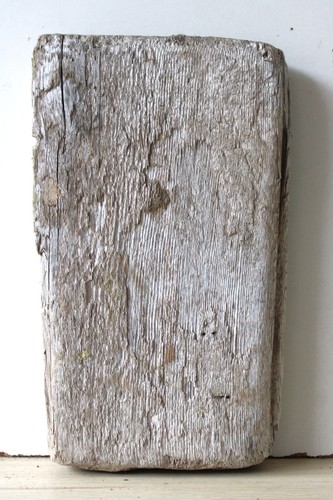 Treibholz schwemmholz - treibholz,