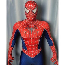 Spider-Man Raimi Cosplay