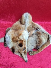 alte Fuchs-Stola  ,  Rotfuchs