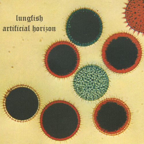Lungfish artificial horizon - artificial,
