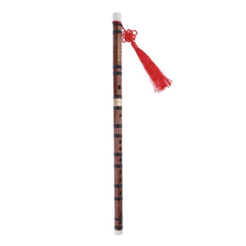 Professionelle chinesische - professionelle,