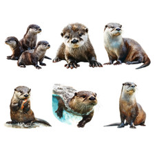 Bügelbild Bügelmotiv Otter