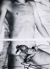 Hermann NITSCH, Aktion -