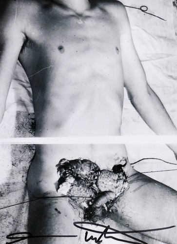 Hermann nitsch aktion - nitsch,,