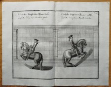Cavendish Pferde Reiten Reitschule Kupferstich Courbetten längs Mauer - 1700