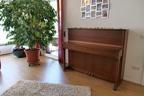 Schimmel klavier erstbesitz - schimmel,