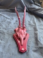 Echtes Rehgeweih Deko Ringe