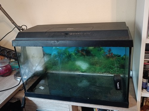 Aquarium 60x30x30 60liter - aquarium,