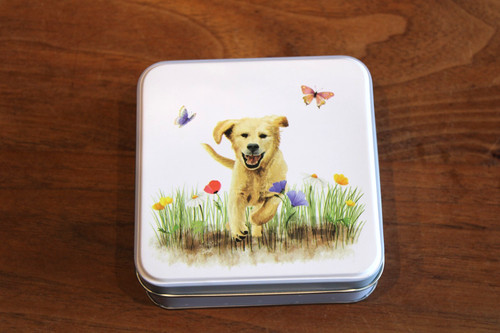 Kleine geschenkdose - kleine,