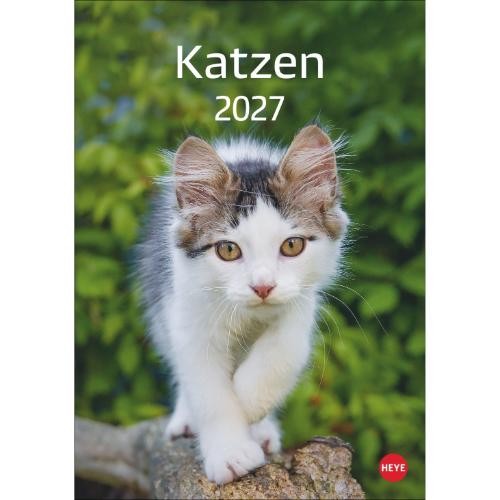 Kalender 2027 katzen - 2027,