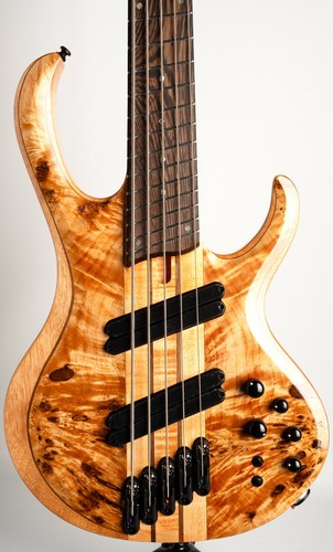 Ibanez btb805ms fnl florid - ibanez,