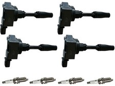 Ignition Coil and Spark Plug