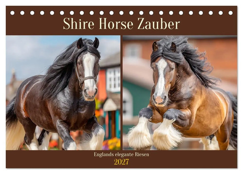 Rose hurley shire horse - rose,
