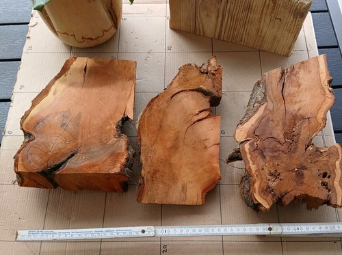 Deko holz edelholz - holz, wurzel