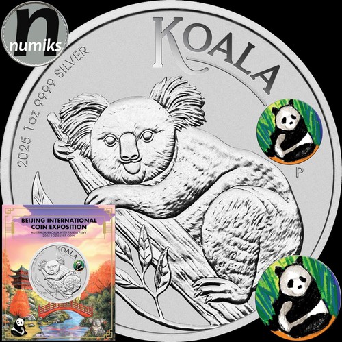 Koala 2025 panda privy - 2025, pekin