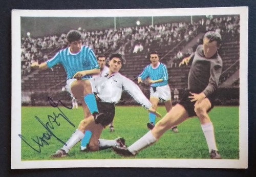 Verlag 1963 fc - ws-verlag,