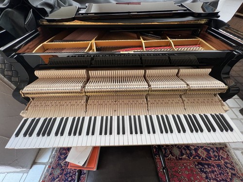 Steinway sons 180 flügel - 180,