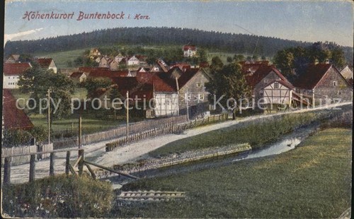 Buntenbock harz - buntenbock,