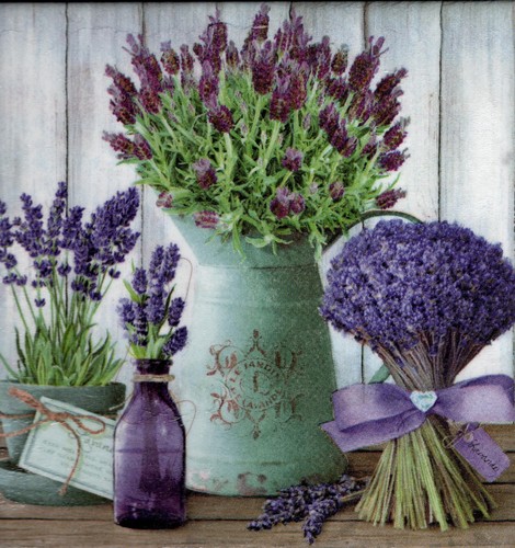 Dekobild lavendel lavendula - ,