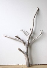 Treibholz Schwemmholz Driftwood  1 Wurzel Dekoration Terrarium 55 cm