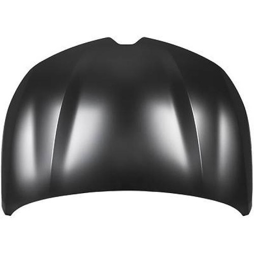 Diederichs 4417000 motorhaube - diederichs,