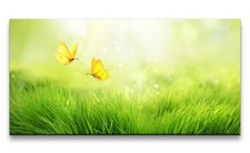 120x60cm Leinwandbild Sommer