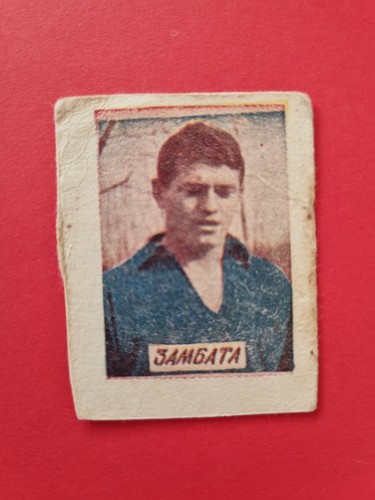 Slaven zambata - slaven, (dinamo