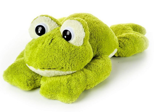 Frosch riesenfrosch - frosch,