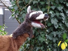 Waschbär, Handpuppe, Raccoon