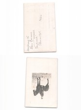 (19846)   Farbansichtskarte  North German Lloyd MS Berlin