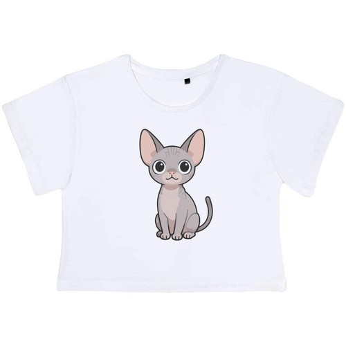 Cartoon sphynx cat women - 'cartoon, cat'
