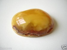 Bernstein Poliert Butterscotch