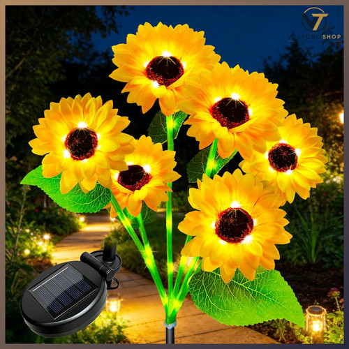 Solar sonnenblumen - solar,