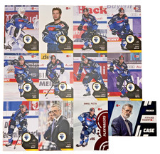 12 x Playercards DEL Saison